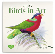 Nástěnný kalendář 2027 Birds in Art s vyobrazením barevného papouška na větvi z papíru bez plastů