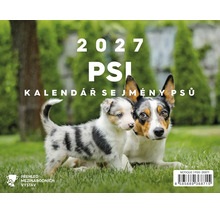 Psí kalendář 2027 s fotografiemi psů na louce