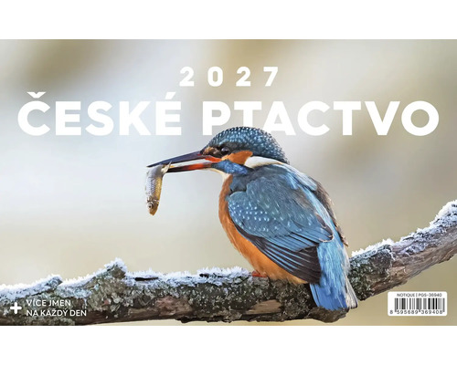 Nástěnný kalendář 2027 České ptactvo s ledňáčkem na zasněžené větvi.