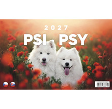 Nástěnný kalendář 2027 Psi Psy se dvěma bílými psy samojeda na poli s vlčími máky
