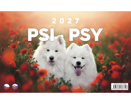 Nástěnný kalendář 2027 Psi Psy se dvěma bílými psy samojeda na poli s vlčími máky