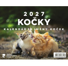 Nástěnný kalendář 2027 Kočky se jmény koček