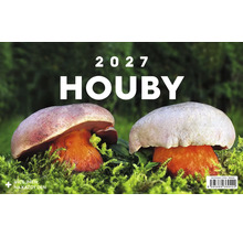 Nástěnný kalendář 2027 s motivem hub