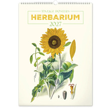 Nástěnný kalendář 2027 Herbarium Vintage Poster s botanickou ilustrací slunečnice a detailními částmi rostliny.