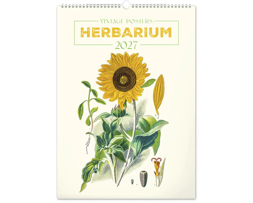 Nástěnný kalendář 2027 Herbarium Vintage Poster s botanickou ilustrací slunečnice a detailními částmi rostliny.