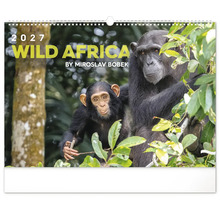 Nástěnný kalendář 2027 Wild Africa s fotografií šimpanzů v džungli