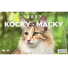 Nástěnný kalendář pro rok 2027 s motivem kočky