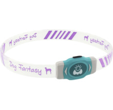 Svítící obojek pro psy Dog Fantasy s funkcí nabíjení přes USB