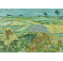Nástěnná dekorace s impresionistickou krajinomalbou pole se stohy sena a rozkvetlou loukou ve stylu Vincenta van Gogha.