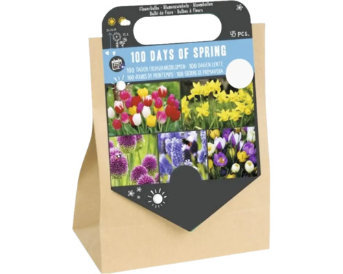 Směs cibulovin 100 Days of Spring 45 kusů v papírové tašce