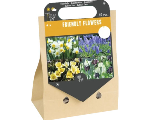 Balení 40 kusů cibulovin směsi Friendly Flowers pro různé jarní květiny v papírové tašce s uchem.