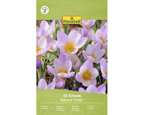 Kvetoucí krokusy odrůdy Firefly v balení po 15 kusech s logem FloraSelf