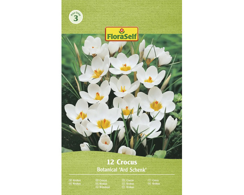 Kvetinove cibule krokus botanicky Ard Schenk dvanact kusu logo FloraSelf cenova skupina tri