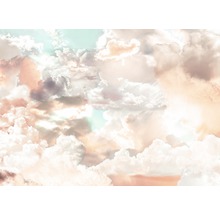Fototapeta vliesová X7-1014 Mellow Clouds 350x250 cm