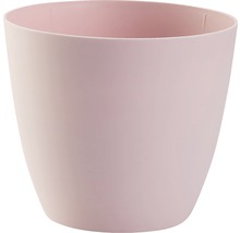 Růžový květináč