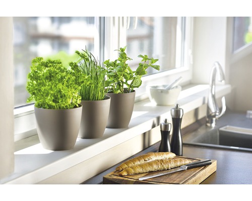 Kuchyňská scéna s bylinkami v květináčích na okenním parapetu, chléb na prkénku