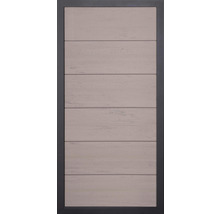 Interiérové dveře s vodorovnými panely a rámem