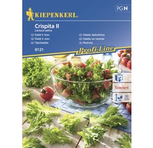 Salát Crispita II Kiepenkerl-thumb-0