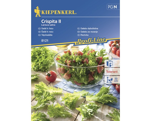 Salát Crispita II Kiepenkerl-0