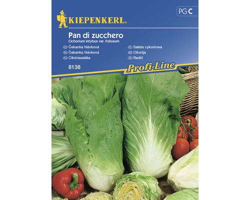 Čekanka Pan di Zuchero Kiepenkerl