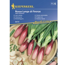 Sazečka Rossa Lunga di Firenze