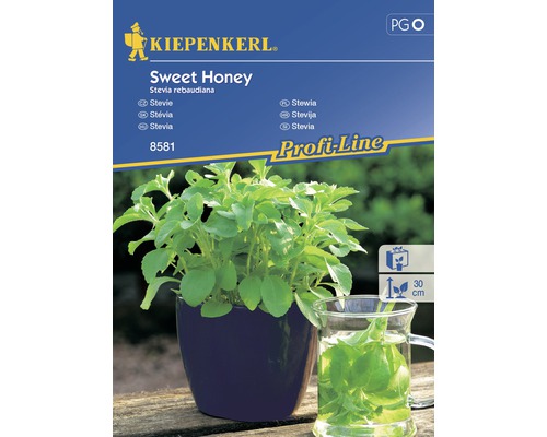 Kiepenkerl Sweet Honey Stévie rebaudiana rostlina v květináči