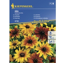 Logo Kiepenkerl. Balení semen Rudbeckia Hirta.