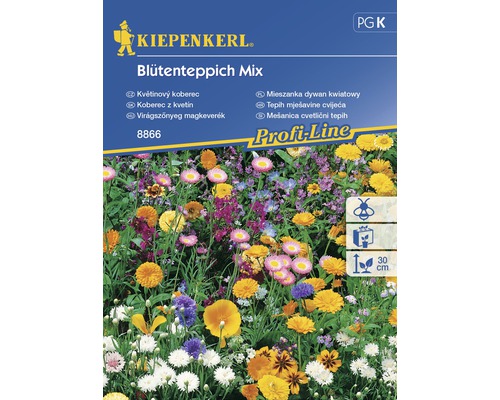Květinový koberec směs květin Kiepenkerl