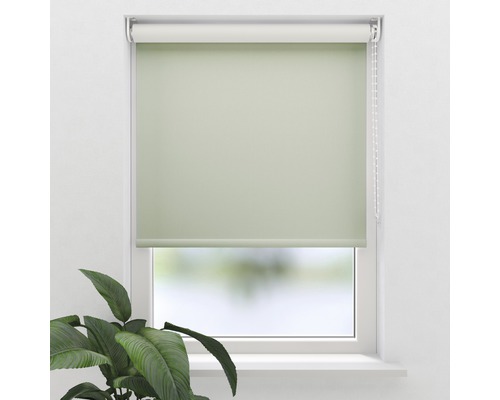 Roleta na okně s řetízkovým ovládáním a rostlinou