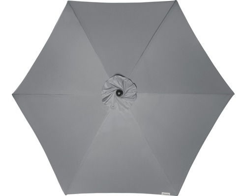 Šedý slunečník zespodu