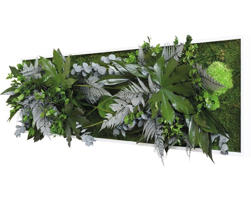 Nástěnný obraz s různými zelenými listy a mechem v bílém rámu