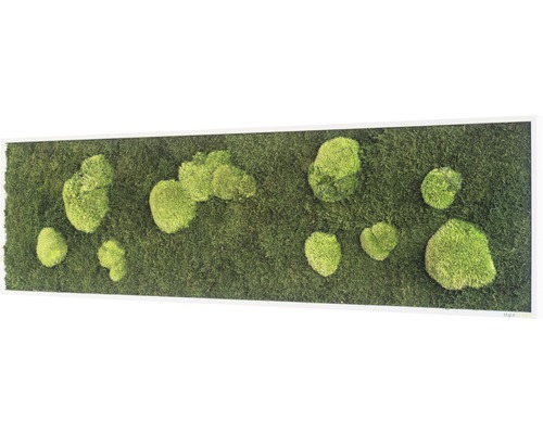 Mechový obraz s rámem