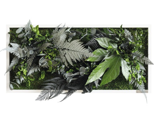 Obraz z rostlin styleGREEN Džungle 57x27cm