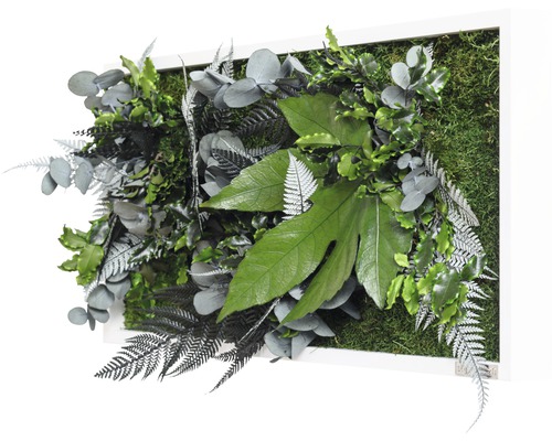 Dekorativní nástěnný obraz s různými rostlinami a mechem v bílém rámu