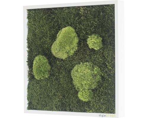 Mechový obraz s rámem pro nástěnnou dekoraci