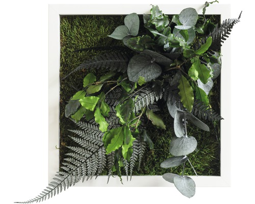 Obraz z rostlin styleGREEN Džungle 22x22cm