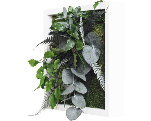 Mechový obraz s různými rostlinami v bílém rámu