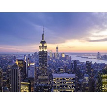 Pohled na panorama New Yorku s budovou Empire State Building