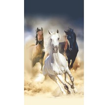 Foto tapeta se třemi cválajícími koňmi