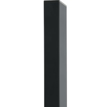 Plotový sloupek PILECKÝ Pilodel Zn + PVC 60 x 40 mm 240 cm antracit