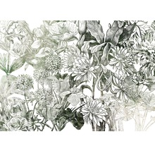 Ilustrace různých květin na bílém pozadí