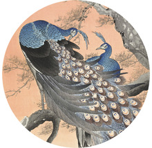 Fototapeta vliesová Japonský páv 95 cm