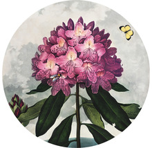 Fototapeta vliesová Rododendron 95 cm