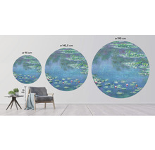 Fototapeta vliesová Monet lekníny 95 cm