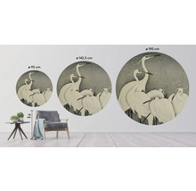 Fototapeta vliesová Japonské jeřáby 95 cm