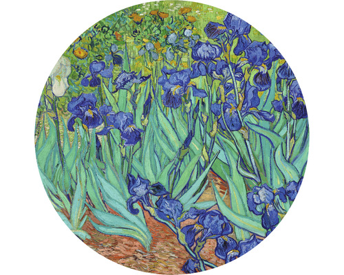 Fototapeta vliesová Van Gogh 95 cm