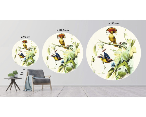 Různé velikosti kulaté nástěnné dekorace s motivem ptáka v zobrazení místnosti
