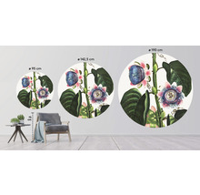 Fototapeta vliesová Passie flora 95 cm