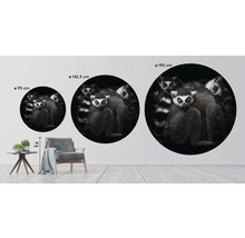 Fototapeta vliesová Lemuři 95 cm