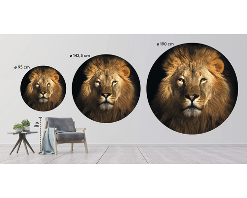 Dekorativní nástěnné samolepky s motivem lva ve třech různých velikostech